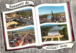 45-OUZOUER SUR TREZEE-N°409-A/0223 - Ouzouer Sur Loire
