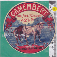 C1384  FROMAGE CAMEMBERT BONS PATURAGE CHARENTE 42 % VACHES - Käse