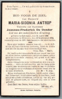 Bidprentje Opbrakel - Antrop Maria Sidonia (1856-1924) - Imágenes Religiosas