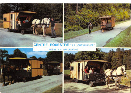 61-BAGNOLES DE L ORNE-N°410-D/0331 - Bagnoles De L'Orne