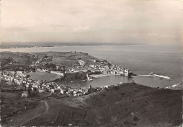 66-COLLIOURE-N°411-D/0315 - Collioure