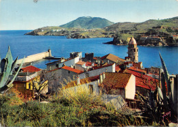 66-COLLIOURE-N°411-D/0293 - Collioure