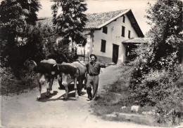 64-SCENE BASQUE-ATTELAGE-N°411-C/0235 - Autres & Non Classés