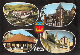 82-CAYLUS-N°414-A/0377 - Caylus