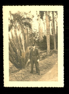 Photo Militaire Alger Jardin D' Essai 1959 Soldat Français  ( Format 8,5cm X 11,5cm ) - Guerre, Militaire