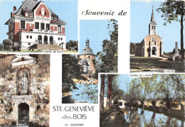 91-SAINTE GENEVIEVE DES BOIS-N°415-C/0087 - Sainte Genevieve Des Bois