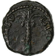 Vespasien, Quadrans, 71, Rome, Rare, Bronze, TTB, RIC:340 - The Flavians (69 AD To 96 AD)