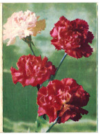 Carnations Soviet Russia USSR, Telegram Form 1974 5Kop Postcard Unused. Series Zh-62. - 1970-79