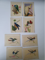 Lot De 8 Cartes Postales Anciennes Années 1920 Thème Oiseaux à Collectionner - Other & Unclassified