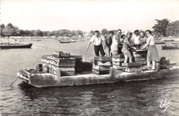 33-ARCACHON-DEBARQUAGE DES HUITRES-N°418-H/0071 - Arcachon