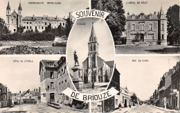 61-BRIOUZE-N°421-E/0347 - Briouze