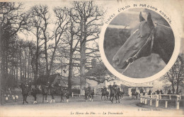 61-LE HARAS DU PIN-N°421-E/0275 - Autres & Non Classés