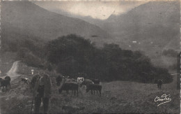 63-CHAUDEFOUR-PATURAGE DANS LA VALLEE-N°421-H/0013 - Otros & Sin Clasificación