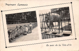 69-LYON-N°422-D/0053 - Autres & Non Classés