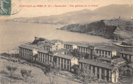 66-BANYULS SUR MER-N°422-C/0029 - Banyuls Sur Mer