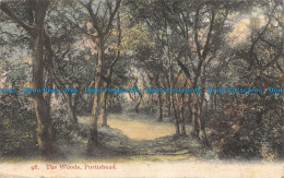 R151364 The Woods. Portishead. J. B. And S. C. 1906 - World