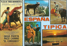 *CPM - Espagne Typique - Multivues - Affiche Corida, Muleta, Couple Dansant Le Flamenco, âne, Coucher De Soleil - Dances