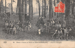 77-FONTAINEBLEAU-LA FORET CHASSE A COURRE-N°423-D/0297 - Fontainebleau