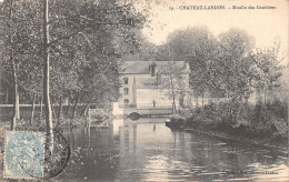 77-CHATEAU LANDON-N°423-D/0219 - Chateau Landon