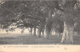 80-SAINT VALERY SUR SOMME-N°423-G/0197 - Saint Valery Sur Somme