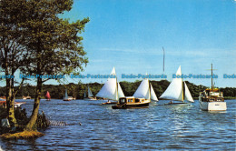 R151415 Wroxham Broad Norfolk Broads. Jarrold. Cotman Color - World