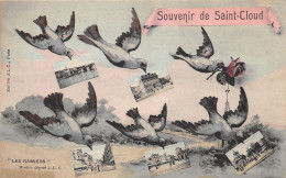 92-SAINT CLOUD-N°424-F/0065 - Saint Cloud