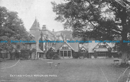 R150799 Bettws Y Coed. Waterloo Hotel. Photochrom. 1922 - World