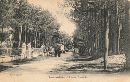 P5-17-Ronce-les-bains -avenue Gabrielle Animee Attelage - Sonstige & Ohne Zuordnung