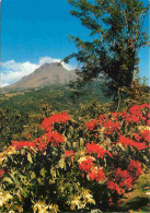 Martinique - Saint Pierre - La Montagne Pelée - CPM - Carte Neuve - Voir Scans Recto-Verso - Otros & Sin Clasificación
