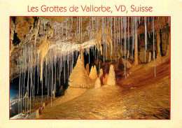 Spéléologie - Les Grottes De Vallorbe - La Salle Des Aiguilles - Un Sanctuaire De Beauté Et De Silence Caché - Suisse -  - Otros & Sin Clasificación