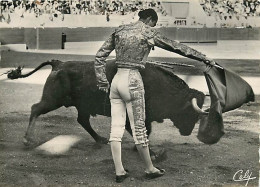 Corrida - Toulouse - Arène Du Soleil D'Or - Travail De Muleta : Pasa Por Alto - CPM - Voir Scans Recto-Verso - Corrida