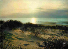 62 - Le Touquet - Coucher De Soleil Dans Les Dunes - CPM - Voir Scans Recto-Verso - Le Touquet