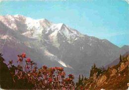 74 - Chamonix - Mont-Blanc - Le Massif Du Mont-Blanc - CPM - Voir Scans Recto-Verso - Chamonix-Mont-Blanc