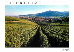 68 - Turckheim - Vue Générale - Vignes - CPM - Voir Scans Recto-Verso - Turckheim