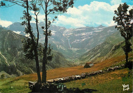 65 - Hautes Pyrénées - Dominant Gedre  Le Plateau De Saugué - Au Loin  Le Cirque De Gavarnie - CPM - Voir Scans Recto-Ve - Altri & Non Classificati