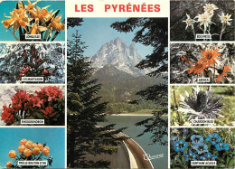 65 - Hautes Pyrénées - Multivues - Fleurs - CPM - Voir Scans Recto-Verso - Altri & Non Classificati