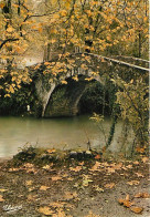 64 - Saint Jean De Pied De Port - Le Pont Romain D'Eyharalerry - Carte Neuve - CPM - Voir Scans Recto-Verso - Saint Jean Pied De Port