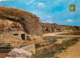 55 - Douaumont - Le Fort De Douaumont - Blasons - Flamme Postale - CPM - Voir Scans Recto-Verso - Douaumont