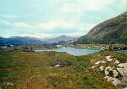 Irlande - Kerry - Killarney - A Long Strait Known As The Long Range, Shrouded In Woods, Connects With The Upper Lake, On - Kerry