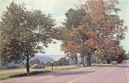 Etats Unis - A Picturesque View South End Of Skaneateles Lake From East Lake Road - CPM - Voir Scans Recto-Verso - Other & Unclassified