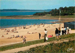 10 - Lac De La Forêt D'Orient - Plage - CPM - Voir Scans Recto-Verso - Other & Unclassified