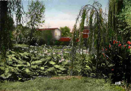 32 - Barbotan Les Thermes - Un Coin Du Parc - Les Lotus - Fleurs - Carte Neuve - CPM - Voir Scans Recto-Verso - Barbotan