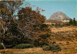 07 - Le Mont Gerbier De Joncs - Source De La Loire - CPM - Voir Scans Recto-Verso - Andere & Zonder Classificatie