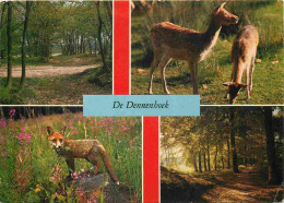 Animaux - De Dennenhoek - Multivues - Renard - CPM - Voir Scans Recto-Verso - Altri & Non Classificati