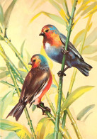 Animaux - Oiseaux - Art - Dessin - Peinture - Flamme Postale De Longwy - CPM - Voir Scans Recto-Verso - Vögel