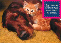Animaux - Chats - Chiens - Flamme Postale - CPM - Voir Scans Recto-Verso - Gatos