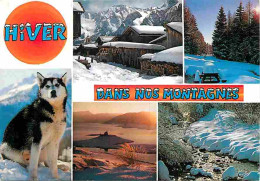 Animaux - Chiens - Husky - Hiver Dans Nos Montagnes - Multivues - CPM - Voir Scans Recto-Verso - Dogs
