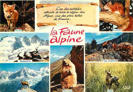 Animaux - La Faune Alpine - Renard - Chamois - Bouquetins - Marmotte - Mouflons - Ecureuil - Multivues - CPM - Voir Scan - Autres & Non Classés