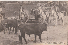 13 PROVENCE MANADE FRANCO RUSSE    TRIAGE DES TAUREAUX   (ETAT) - Autres & Non Classés