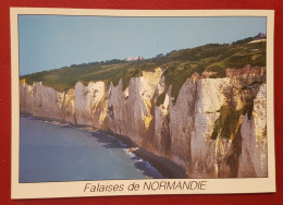 CPM - La Normandie - Les Falaises De Normandie - Basse-Normandie